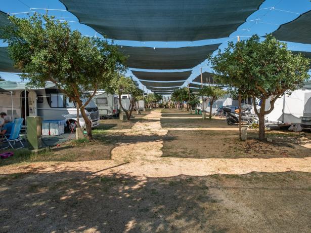 lamasseria it agosto-in-camping-village-con-servizi-4-stelle 016