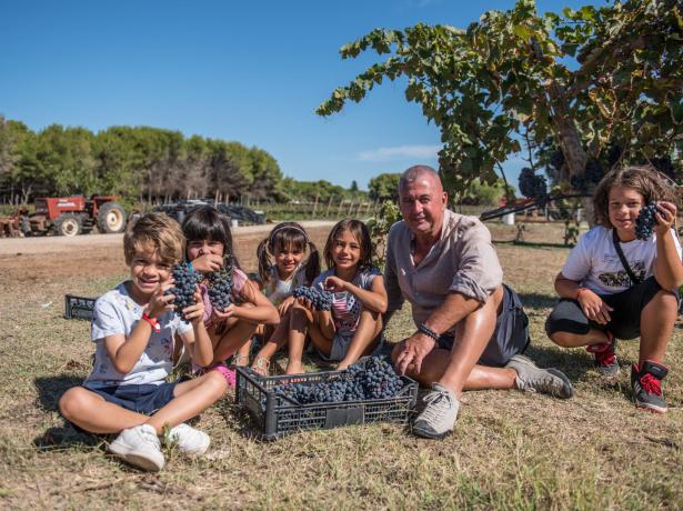 Raccolta dell'uva in una giornata di sole con un gruppo di bambini.