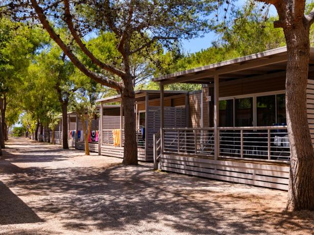 Bungalows en bois alignés parmi des arbres verts dans un camping.