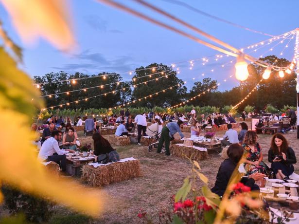 Abendessen im Freien mit Lichtern und Heuballen, gesellige Atmosphäre.