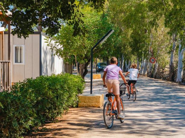 Due persone in bicicletta su un sentiero alberato.