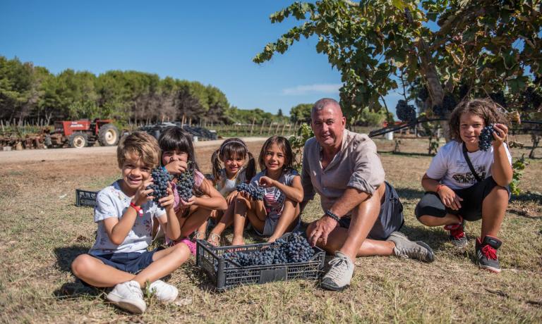 Raccolta dell'uva in una giornata di sole con un gruppo di bambini.