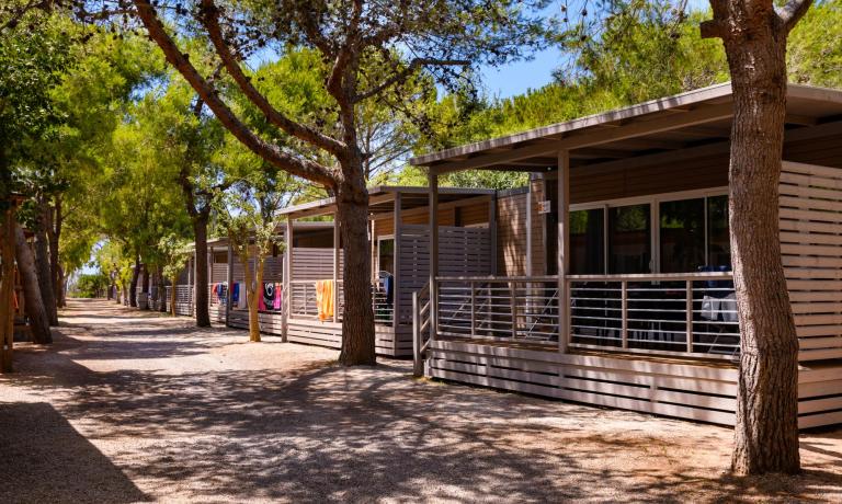 Bungalows en bois alignés parmi des arbres verts dans un camping.