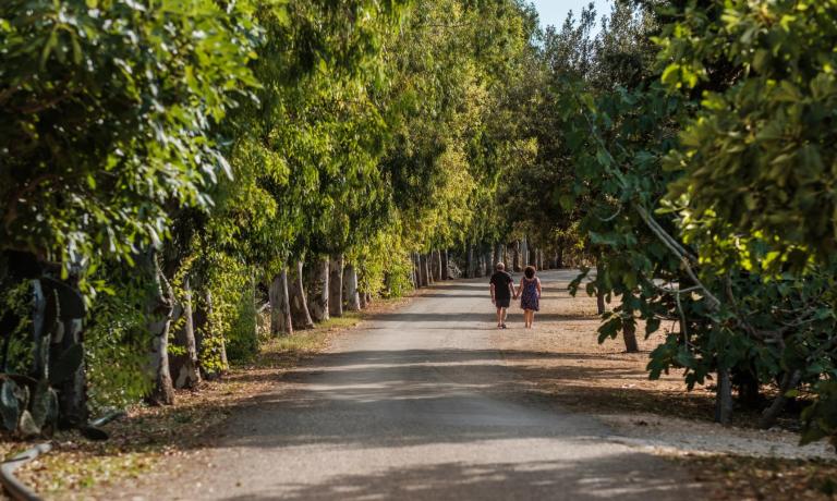 Coppia passeggia su un sentiero alberato in una giornata di sole.