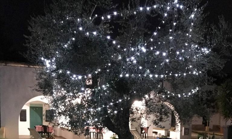 Baum mit weißen Lichtern vor einem Gebäude dekoriert.