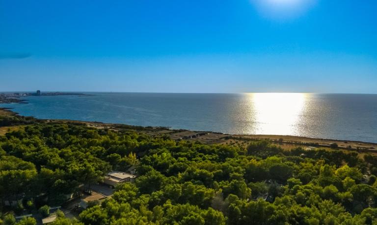 Vista sul mare con foresta verde e sole alto.
